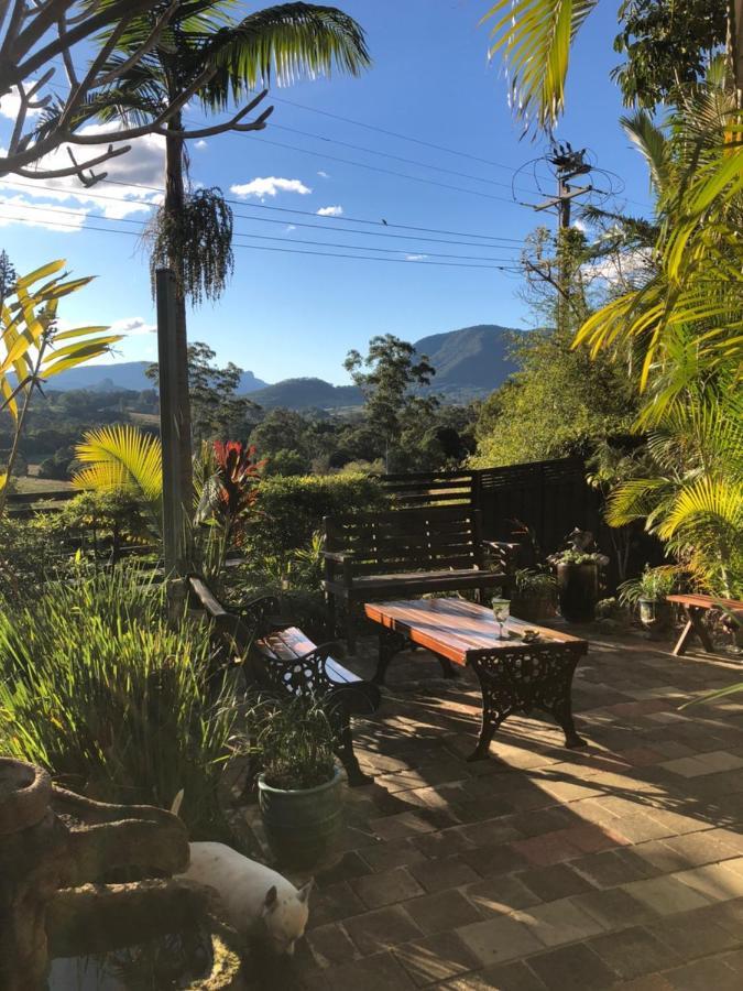 Grey Gum Lodge نيمبين المظهر الخارجي الصورة