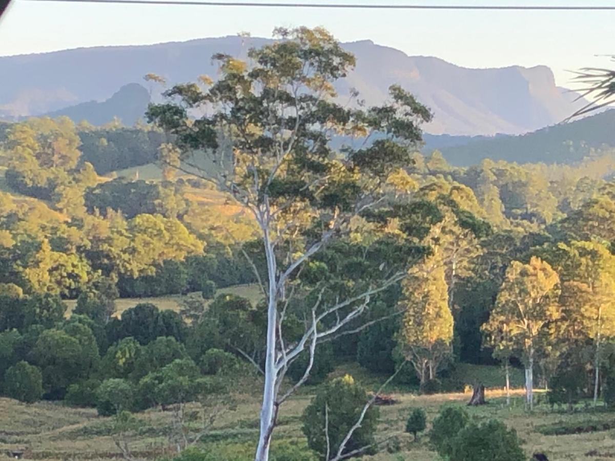 Grey Gum Lodge نيمبين المظهر الخارجي الصورة